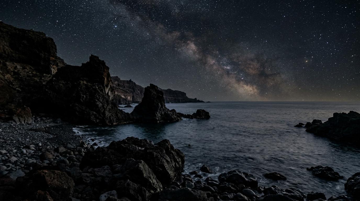 A fledgling Cory's shearwater resting on a rocky volcanic shoreline under a starry night sky.
